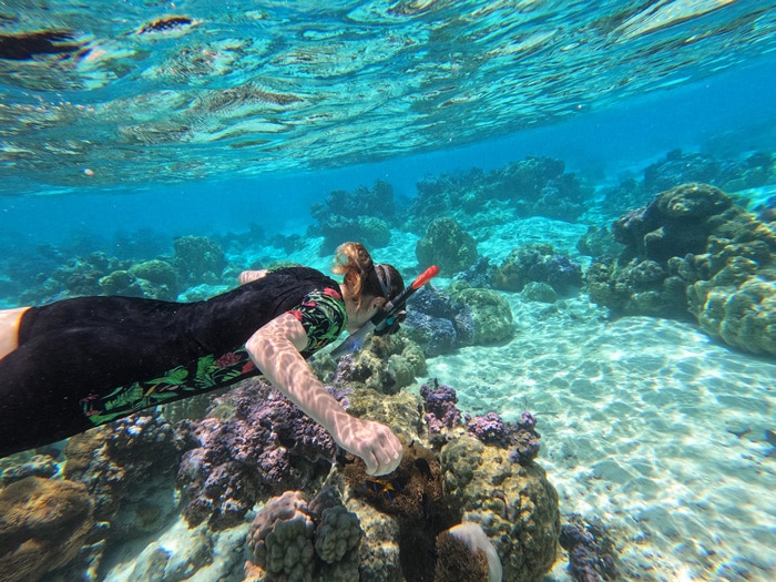 snorkeling near Sofitel, Moorea